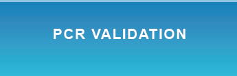 PCR Validation