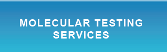 Molecular Testing Services